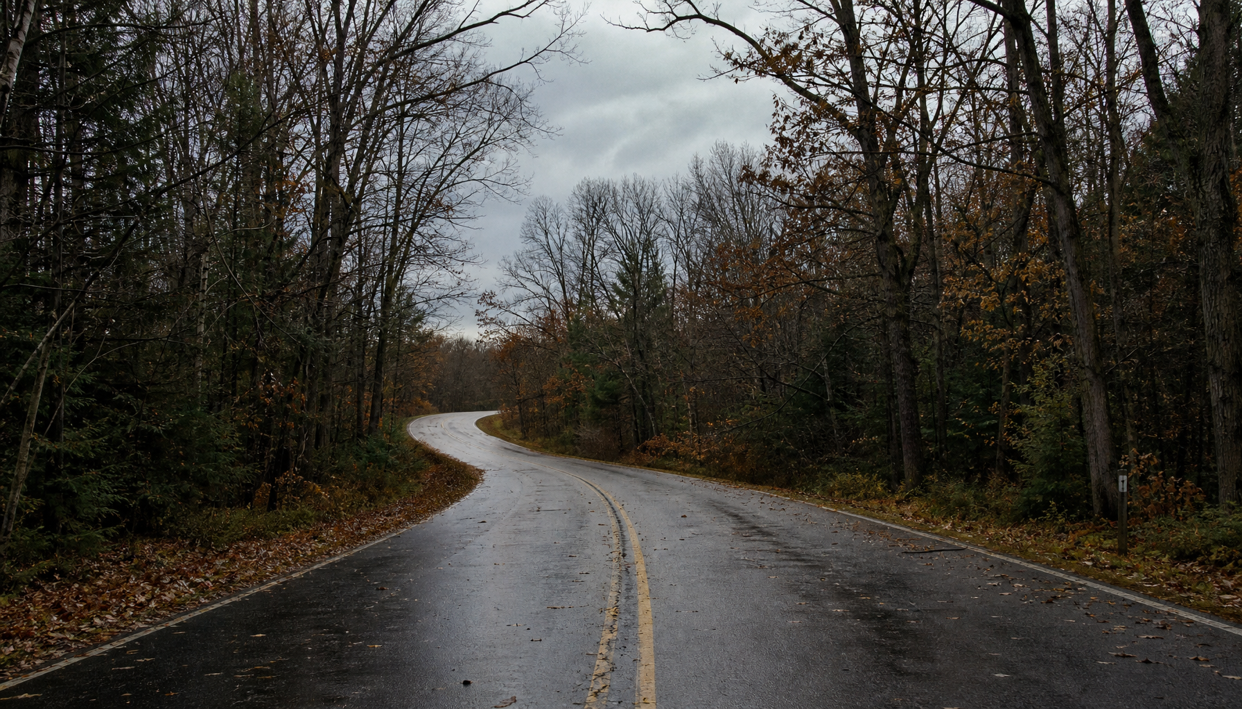 Deer-Vehicle Collisions in Michigan: What to Do Next